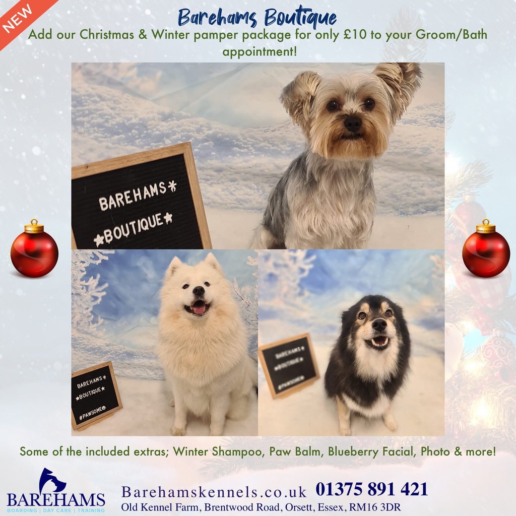 barehams dog training