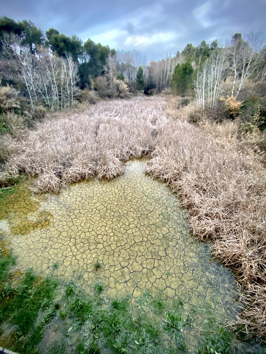 lluiscostag's tweet photo. Torrent del Raval al seu pas per Can Macià
#odena #Anoia #Catalunya https://t.co/zXZbhGFzbE