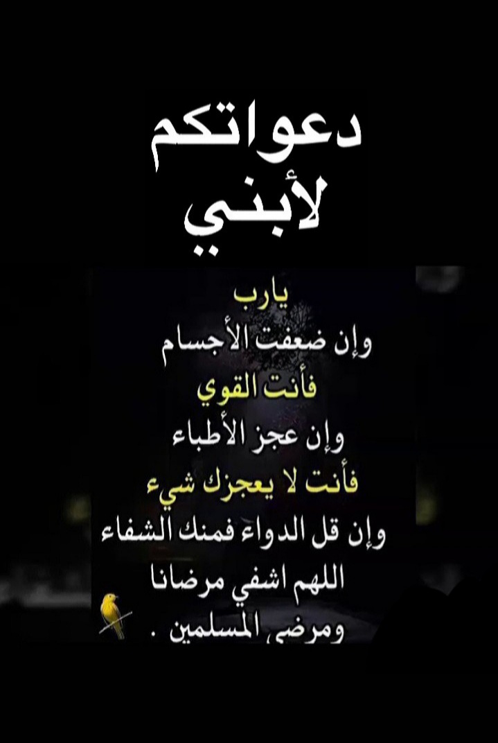 ياعلي ٢ tweet media