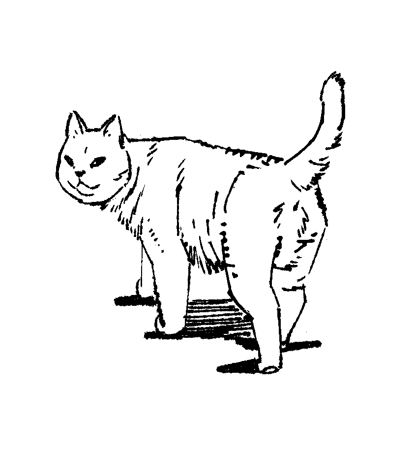 すごくふてぶてしい顔の猫が描けた。
気分がいい。 