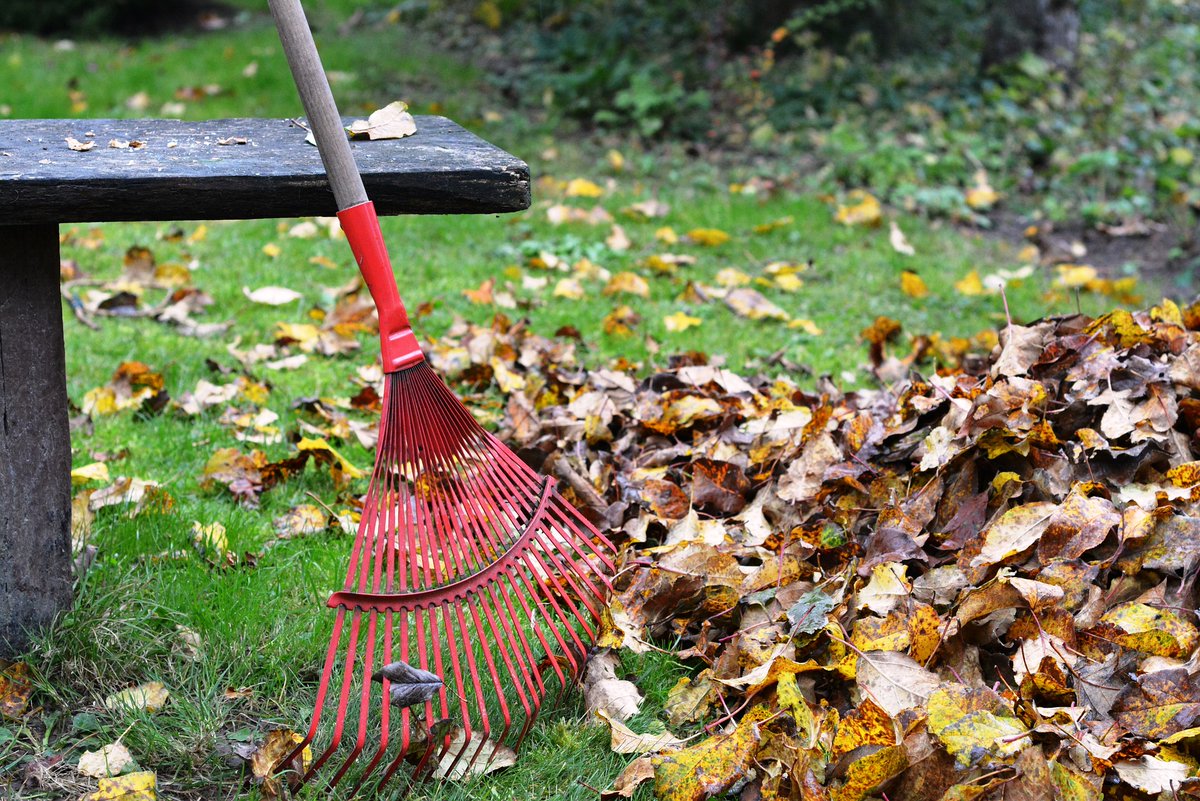SycamoreTwp's tweet photo. Curbside leaf pickup for @SycamoreTwp residents has been extended.Β All leaves must be placed at the curb for pickup no later than 7:30 a.m. Monday, December 20th for guaranteed pickup. #moreinsycamore https://t.co/XToIpaTnwF