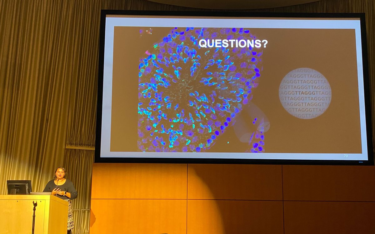 LabNandakumar's tweet photo. MD-PhD student Jackie Graniel @applejackz88 successfully defended her Ph.D. yesterday! What an amazing journey she's had. Proud of her outstanding research accomplishments and incredible #DEI work on campus &amp; beyond. @UMich_MCDB @SacnasUMichigan  @UMCDB https://t.co/dGRkFGCvi3