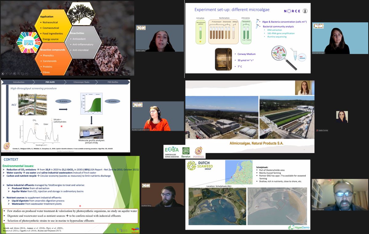 AlgaeCongresss's tweet photo. Last session of the day `Scientific Session 8` at
@AlgaeCongresss #AE21 highlights the subject on `Algae Monitoring, from Nature to Industry`. Chaired by Liliana Rodolfi - @UNI_FIRENZE. Coelho M; Kleinegris D; Couzinet-Mossion, A; Correi, N; Parsy A; Groenendaal B. #Allmicroalgae https://t.co/WMANqfQtNN