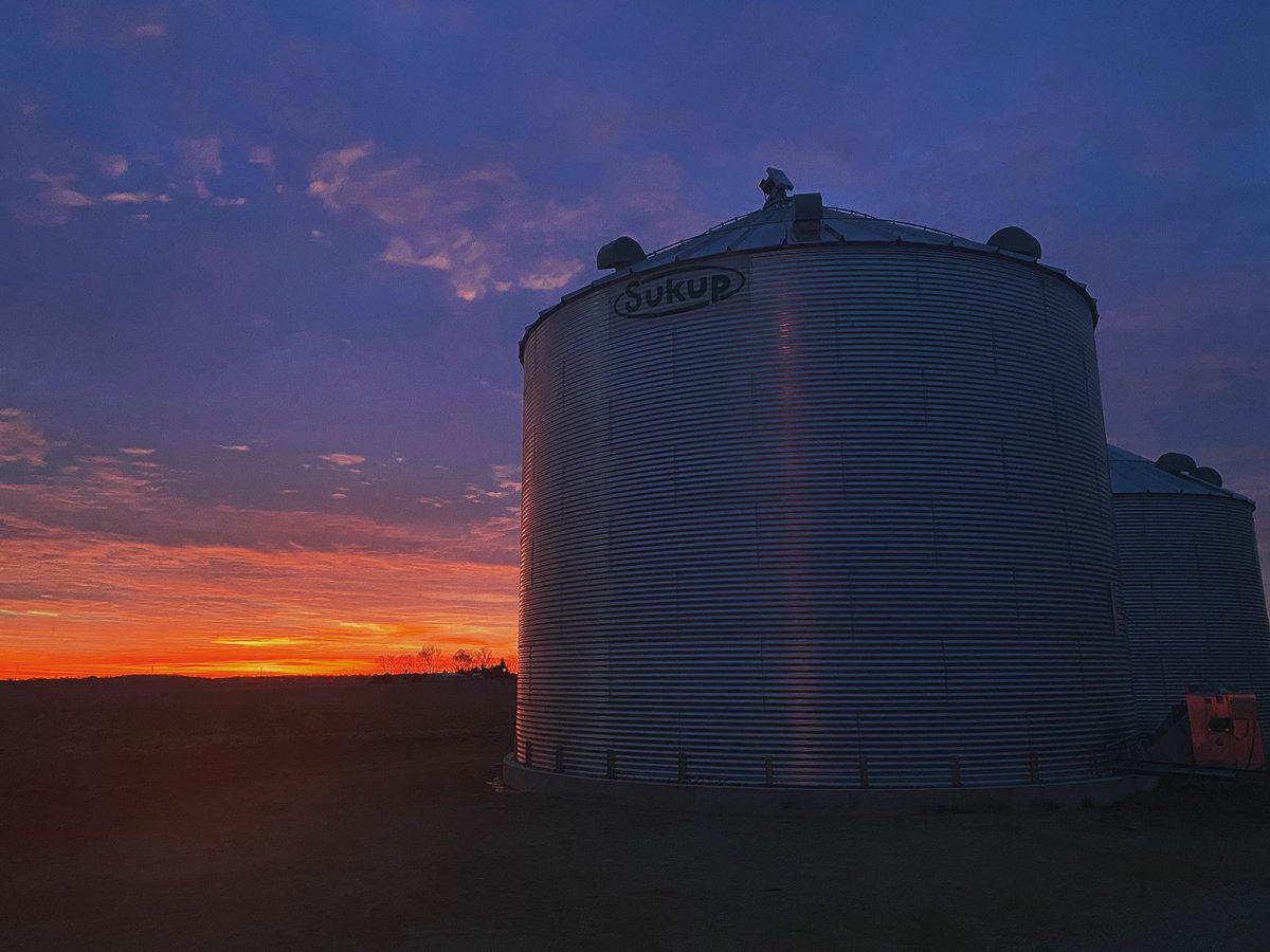 Midwest Morning
.
.
.
.
#smartfarming #animalagriculture #barntools #barntalk #barnalarm #agtech #pigs #pig #pigfarming #poultry #poultryfarming #chickens #chickenfarm #pigfarm #turkeyfarm #turkeyfarming #turkeys #broilers #layers #swine #swinefarm
