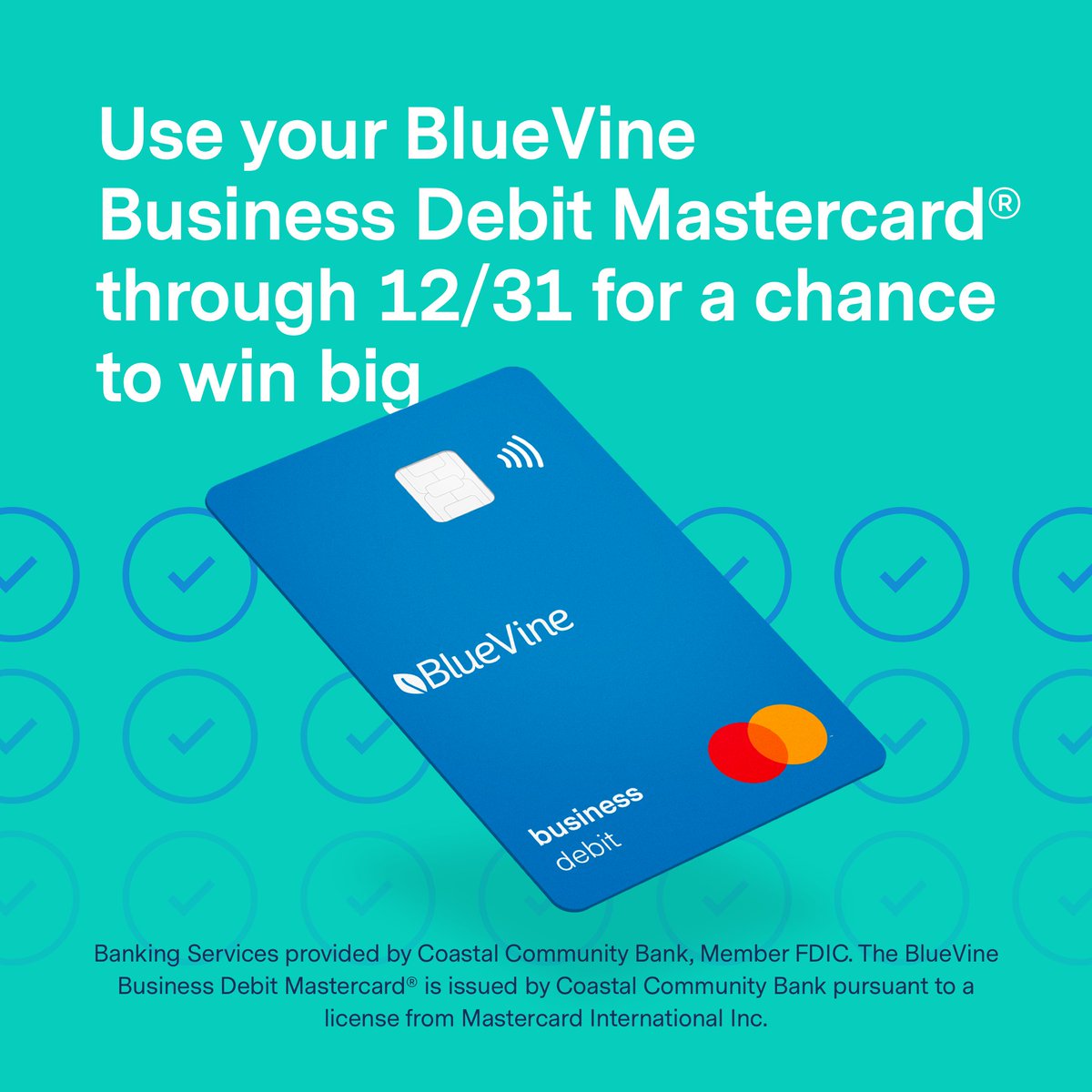 We've teamed up with <a href="/Mastercard/">Mastercard</a> for a merrier holiday season. ❄️

Throughout December, you'll automatically receive a chance to win $2.5K+ every time you use your BlueVine Business Debit Mastercard®. Ends 12/31/21. Rules: mastercardgalileo.com