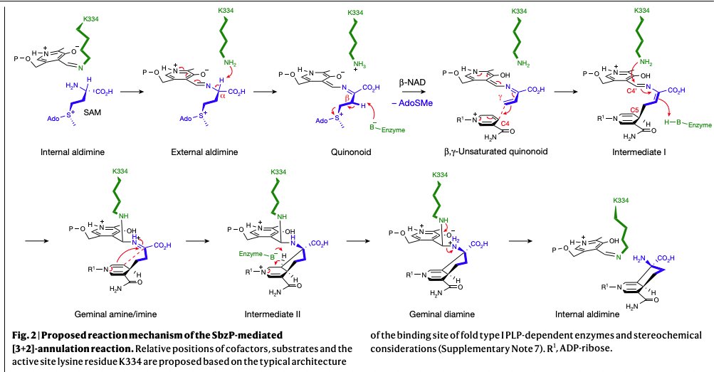 Enzyme Chemistry tweet media