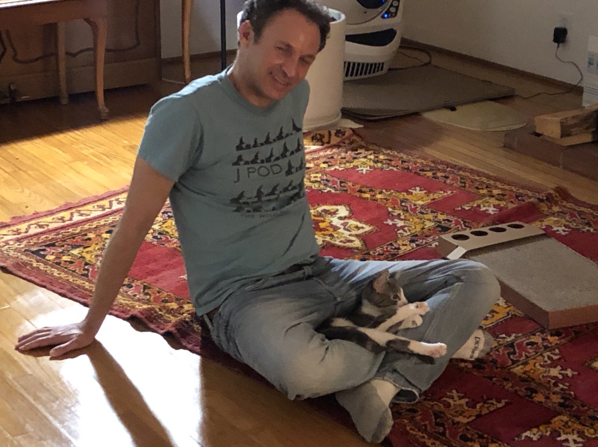 62MileClub's tweet photo. I'm raising money for FIP treatment for our cat, Dopey. Click to Donate: https://t.co/s3nRIGugtm #GoFundMe
#FIP #petfundraiser #DopeyNeedsYou #FIPSucks #gofundeme https://t.co/4d1iri4T58