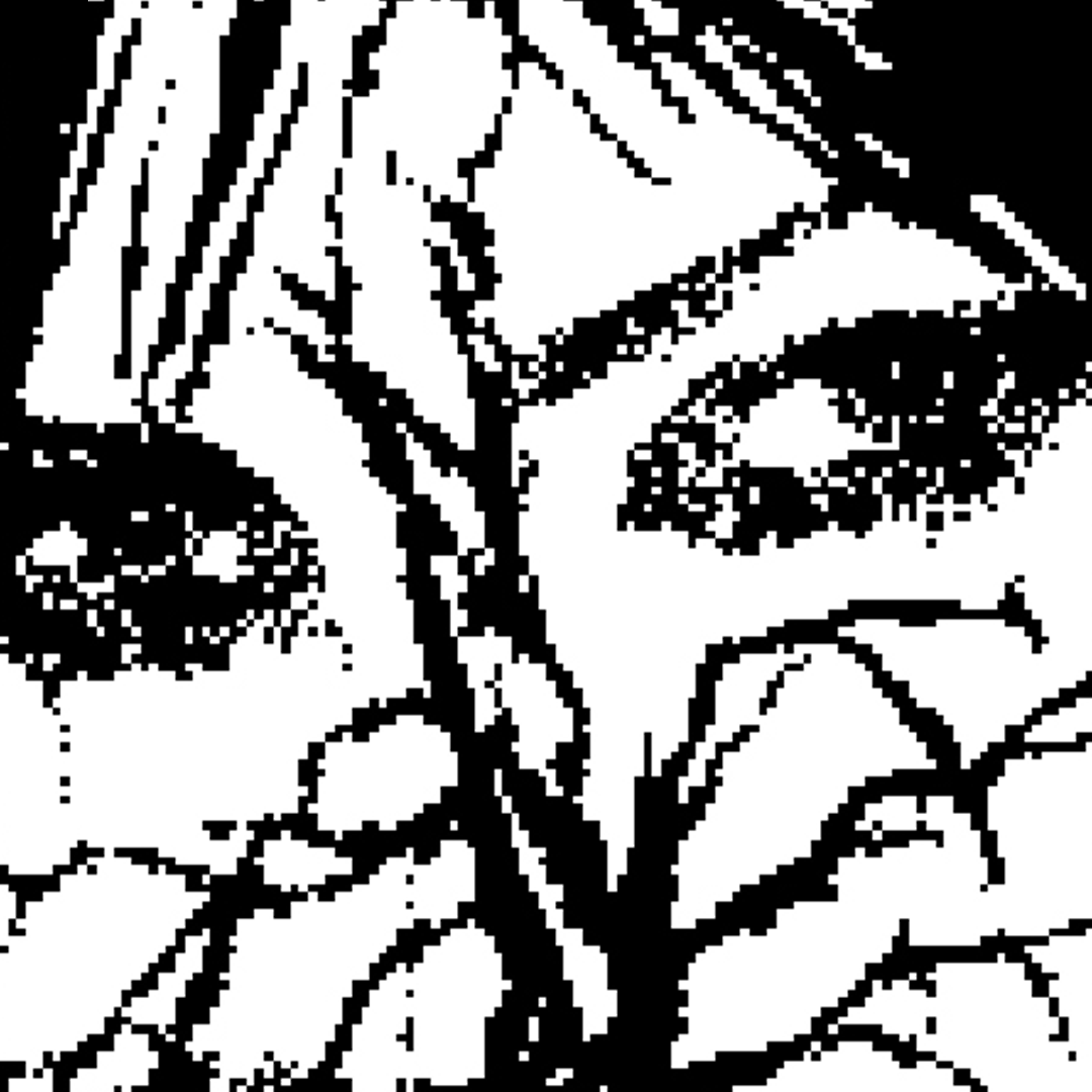 500kArt's tweet photo. Secret #garden...
Credits:
daveyer, 2002 (detail)
More #pixelperfect mysterious places at https://t.co/tFwM0ZpJGD
#500kart #youdraw #nftart #bnw #bw #monochrome #pixelart https://t.co/SUVe7EjVUy