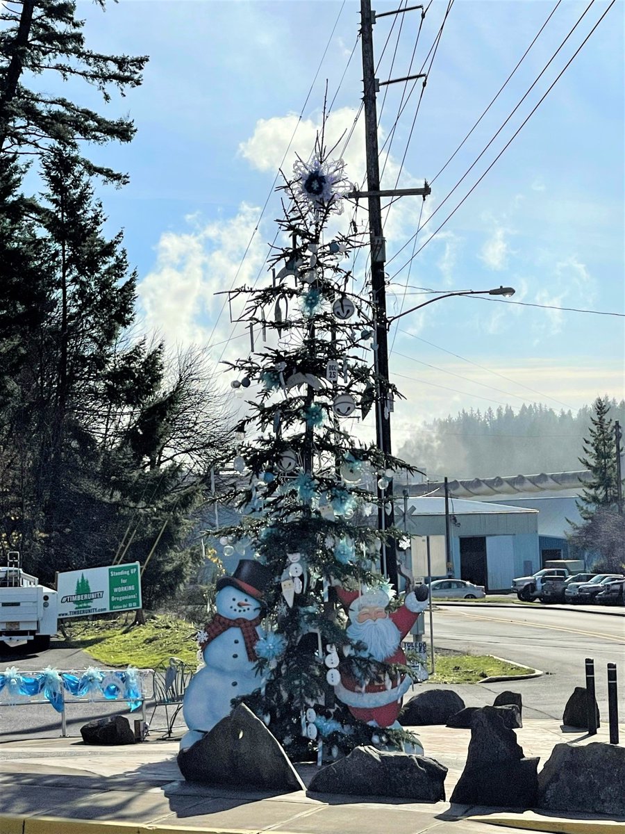 Toledo Chamber of Commerce got a little "Frosty" this year decorating a tree from Starker Forests.
#logging #forestry #sustainability #christmas2021