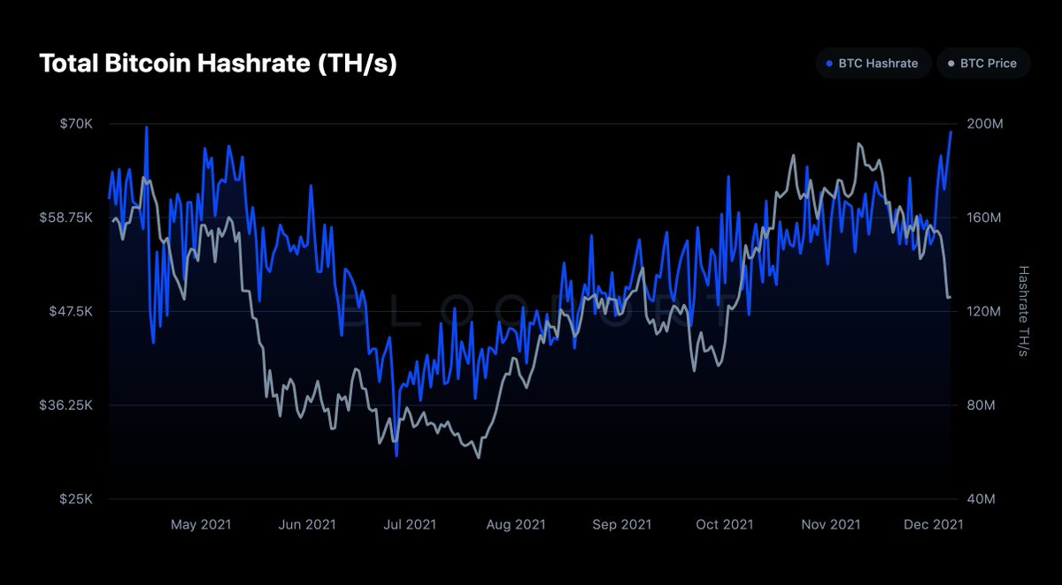 Bloqport Insights tweet media