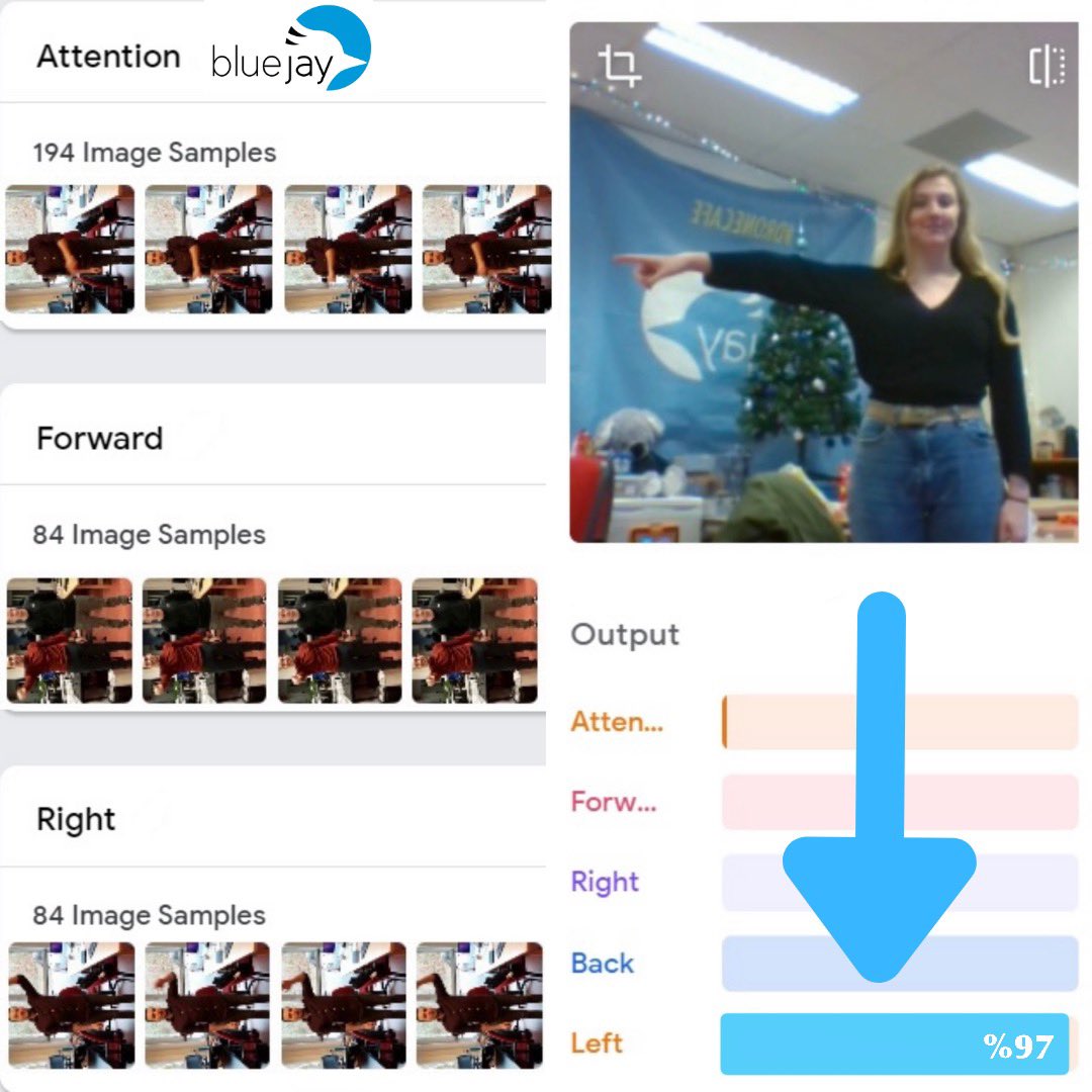 Blue Jay Eindhoven tweet media