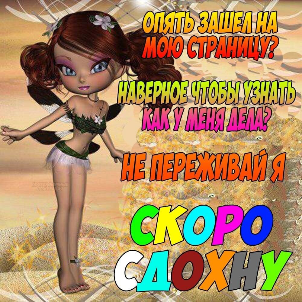 sonya 🛝 tweet media