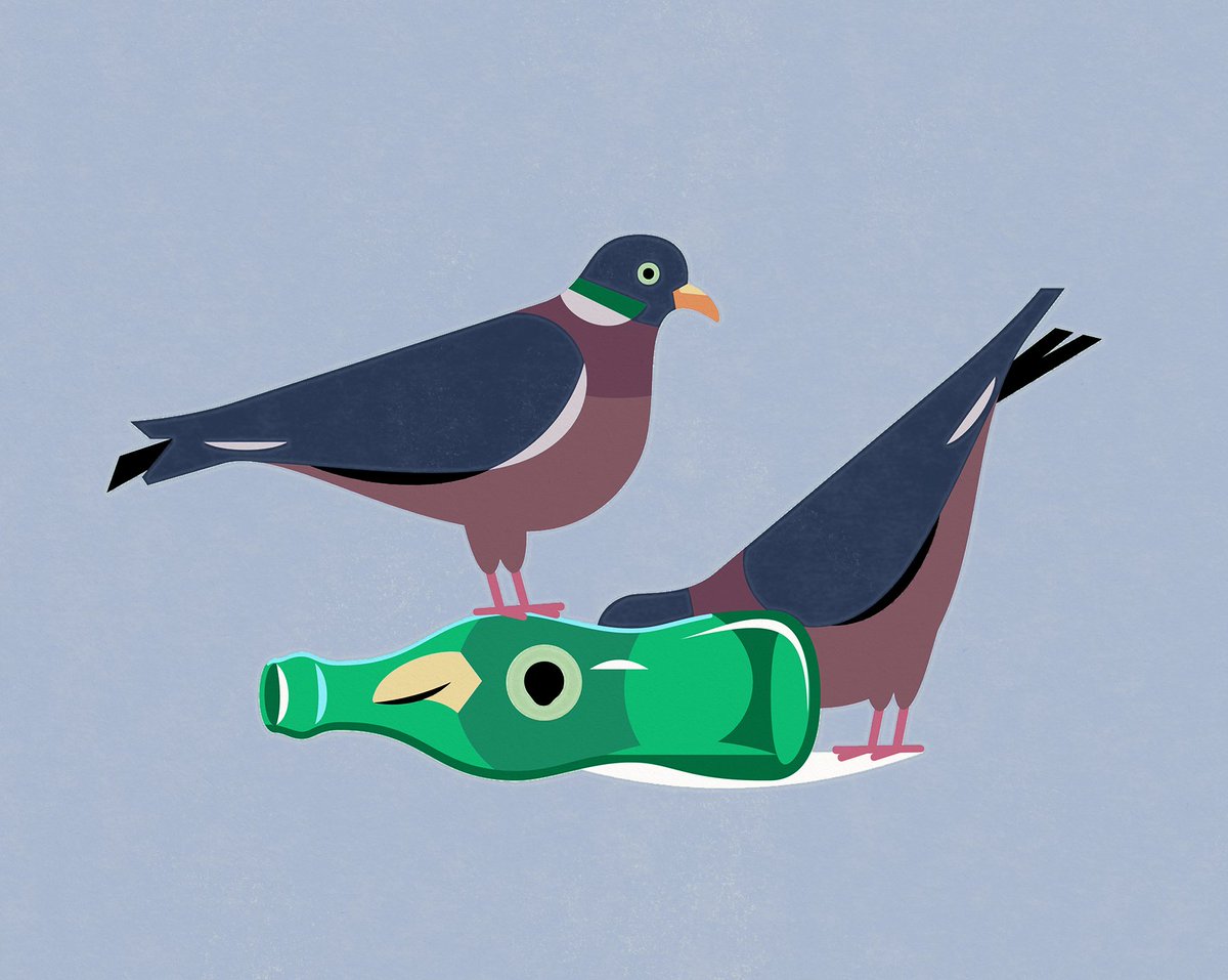 hootalex's tweet photo. Pigeon eyes... pigeonize... pigeon ˡᶦᵉˢ 🐦👁️ https://t.co/EWMChuWidg