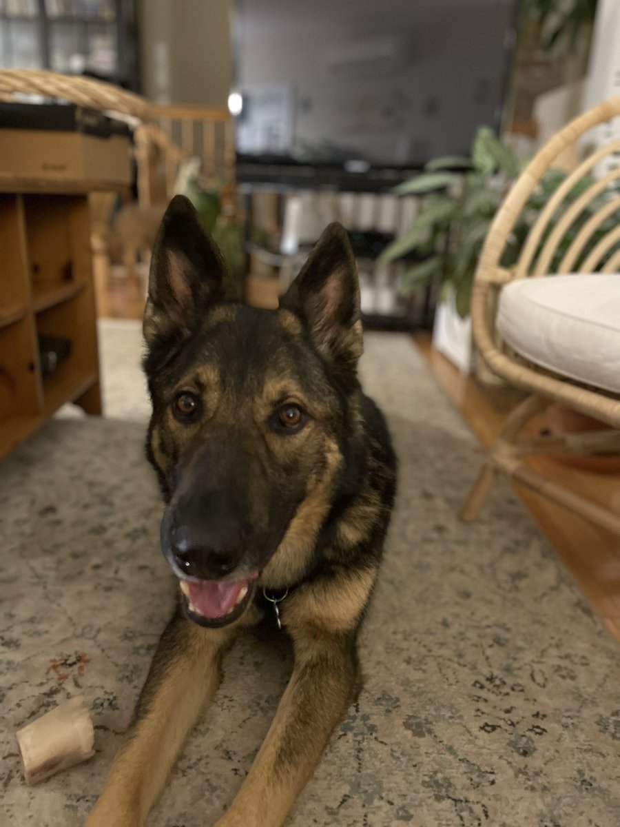ou812cookie's tweet photo. @RCMPNS He looks like a friend I know! Happy retirement! https://t.co/jNQf3hm2sL
