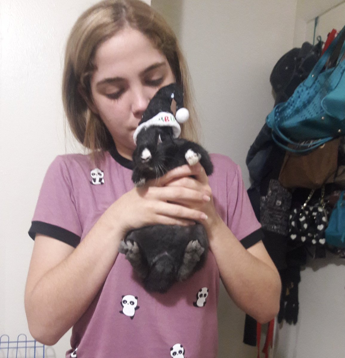 staryuukiii's tweet photo. Chicos les quiero contar que hace unos días Mila mi conejita murió por dos glándulas de cancer, mi madre no me había dicho nada para no disgustarme. Que descanse en paz 🤍 https://t.co/dotVvFNLA6