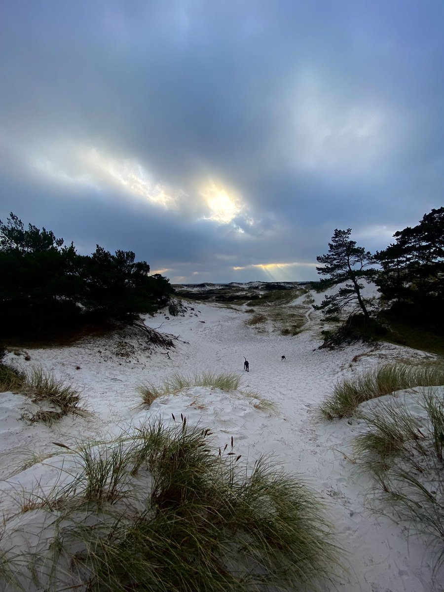 LisaTahirovic's tweet photo. My dogs favorite place 🐕 #bornholm #Dueodde https://t.co/uqOlav52x7