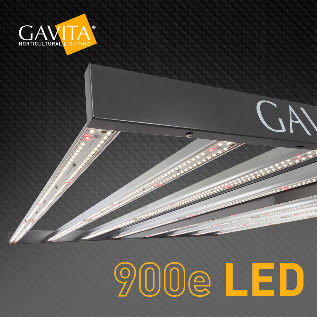 Looking back on 2021, we were pleased to introduce the 900e LED - an energy-efficient solution for close proximity growing.💡 #GavitaGrown