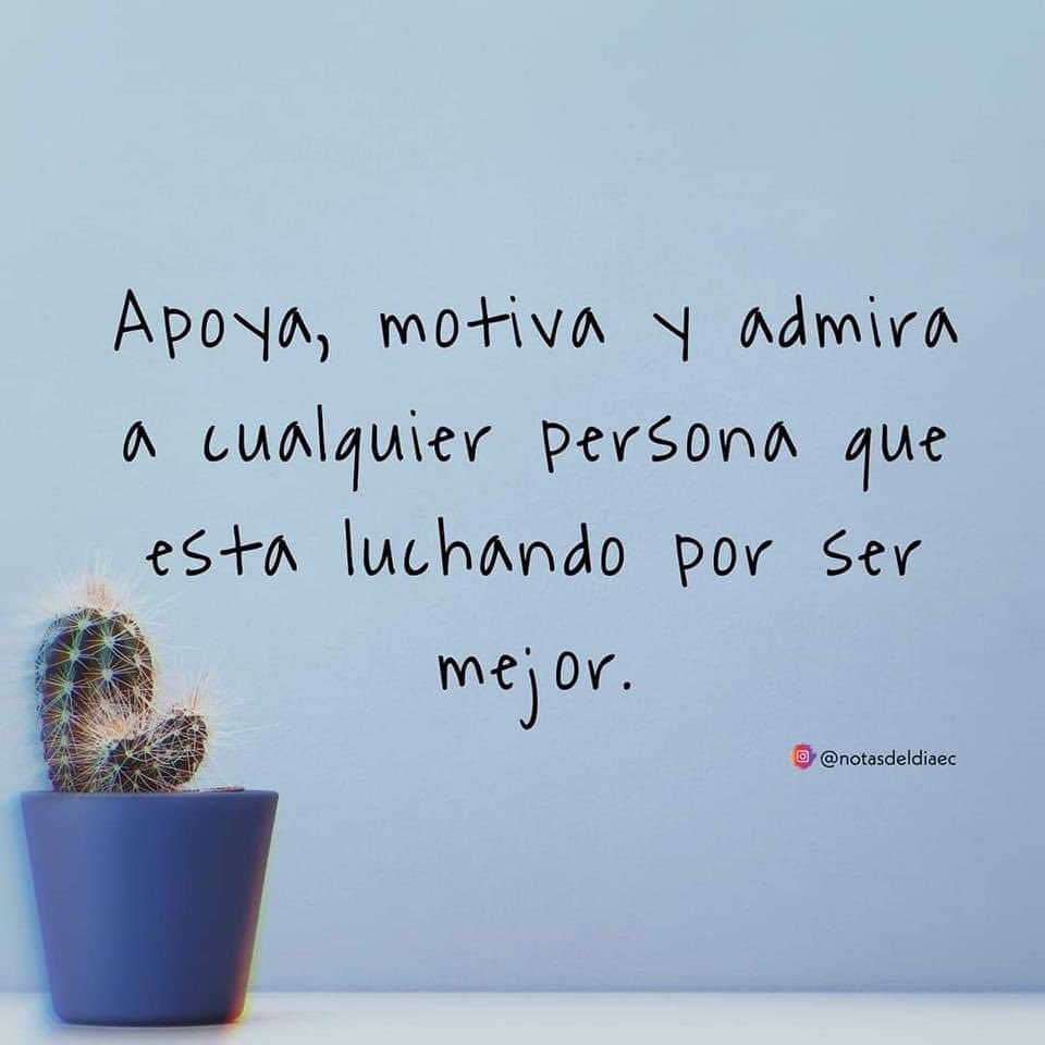 MarcoReyPicks's tweet image. 