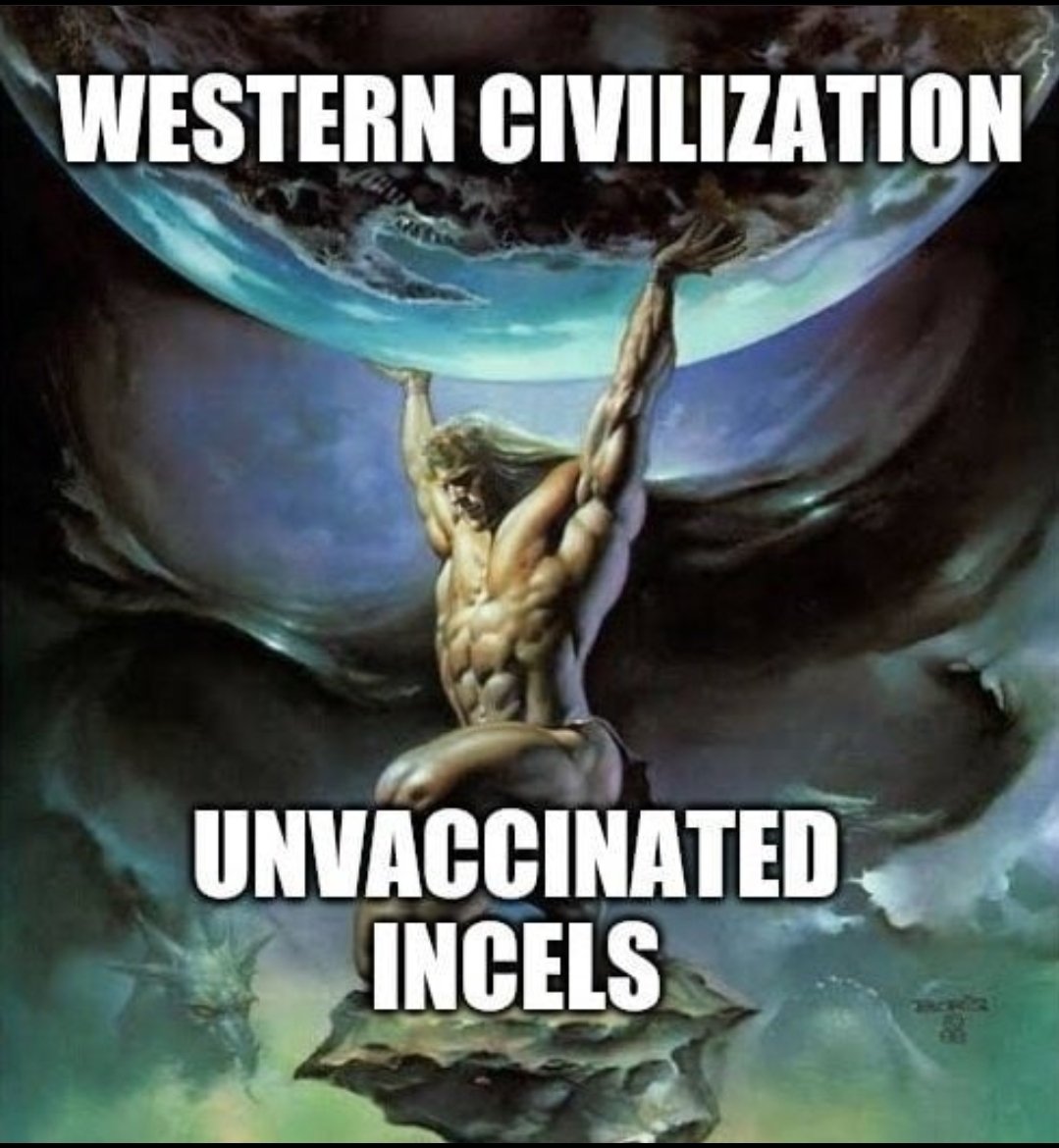 bufotoad1's tweet image. 