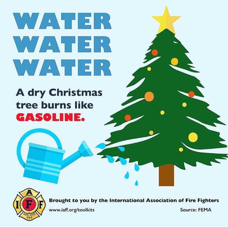 MMFireDept's tweet image. Keep those trees watered so we don’t have too!!