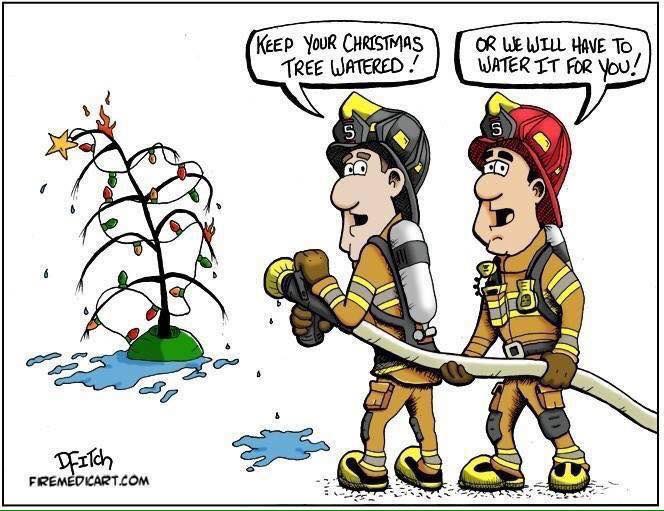 MMFireDept's tweet image. Keep those trees watered so we don’t have too!!