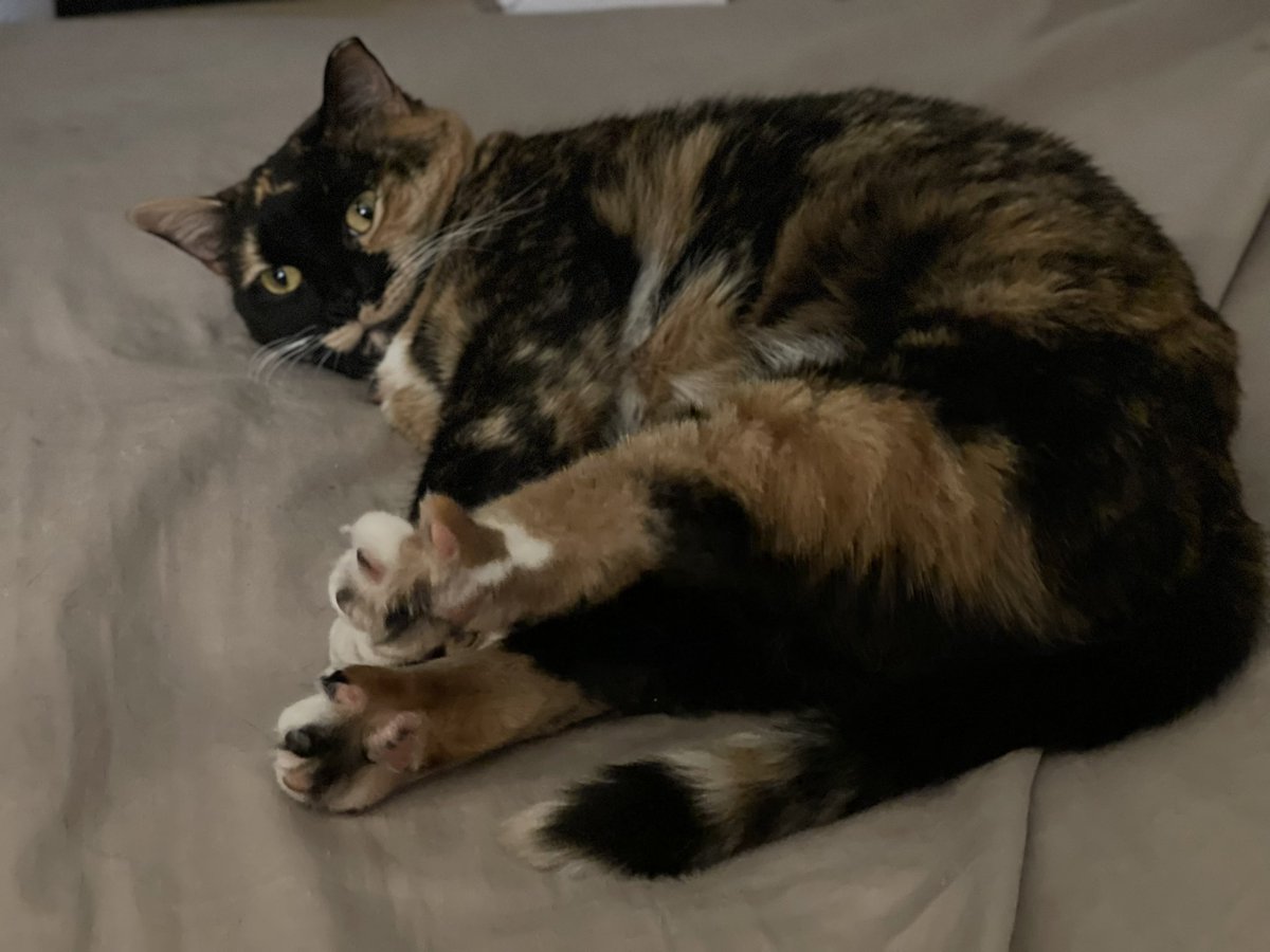 givchikennao's tweet image. streeeeeeeeeetttttttch toes