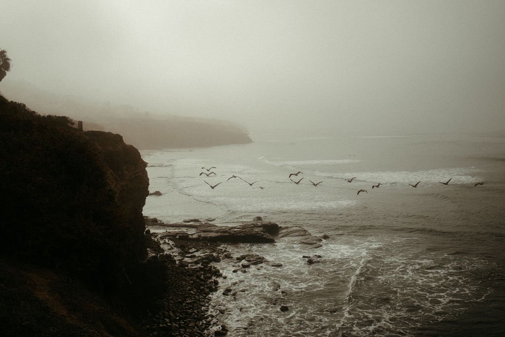lara_spurlock's tweet photo. California through my lens:) https://t.co/Wgl67SIpeV