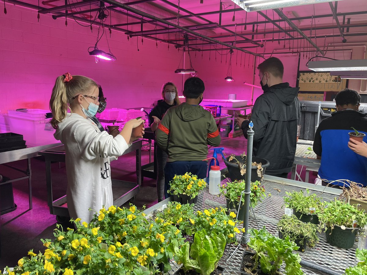 CV_FFA1954's tweet photo. The December Middle School Ag Club was all about plants! 🪴🌱🌺FFA members taught mini-lessons on plant plant cuttings, soil horizons, and the soil texture triangle. We have some future plant scientists in the group! #MiddleSchoolAg #LearnByDoing https://t.co/esb83AfMwz