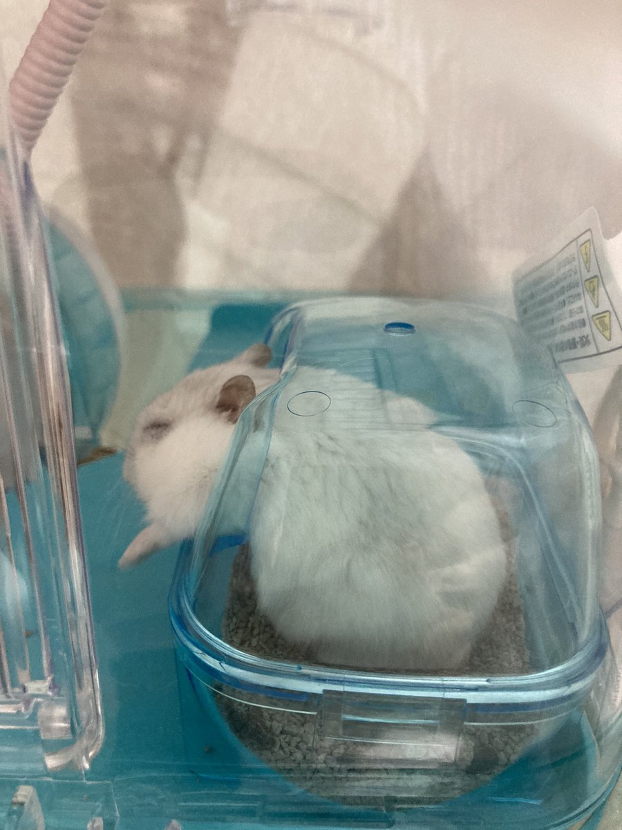 坂井剛志 tweet media