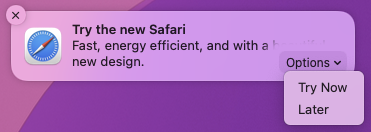 qwertzguy's tweet photo. So @Apple is now spamming users with persistent notifs to get users to switch to their browser. Notice how you can't opt-out, it's only "Try Now" or "Later"... https://t.co/1aR0dQ2XQW