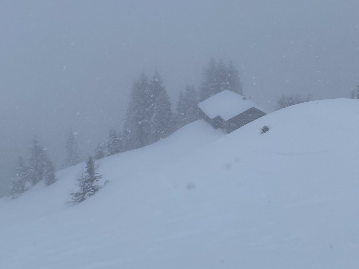 Bergreport's tweet photo. Keine Fernsicht, aber massig Pulverschnee der allerfeinsten Sorte heute am #Brauneck.⛷🎿❄️
https://t.co/h02NtZH86r https://t.co/qXXJtky8Ow