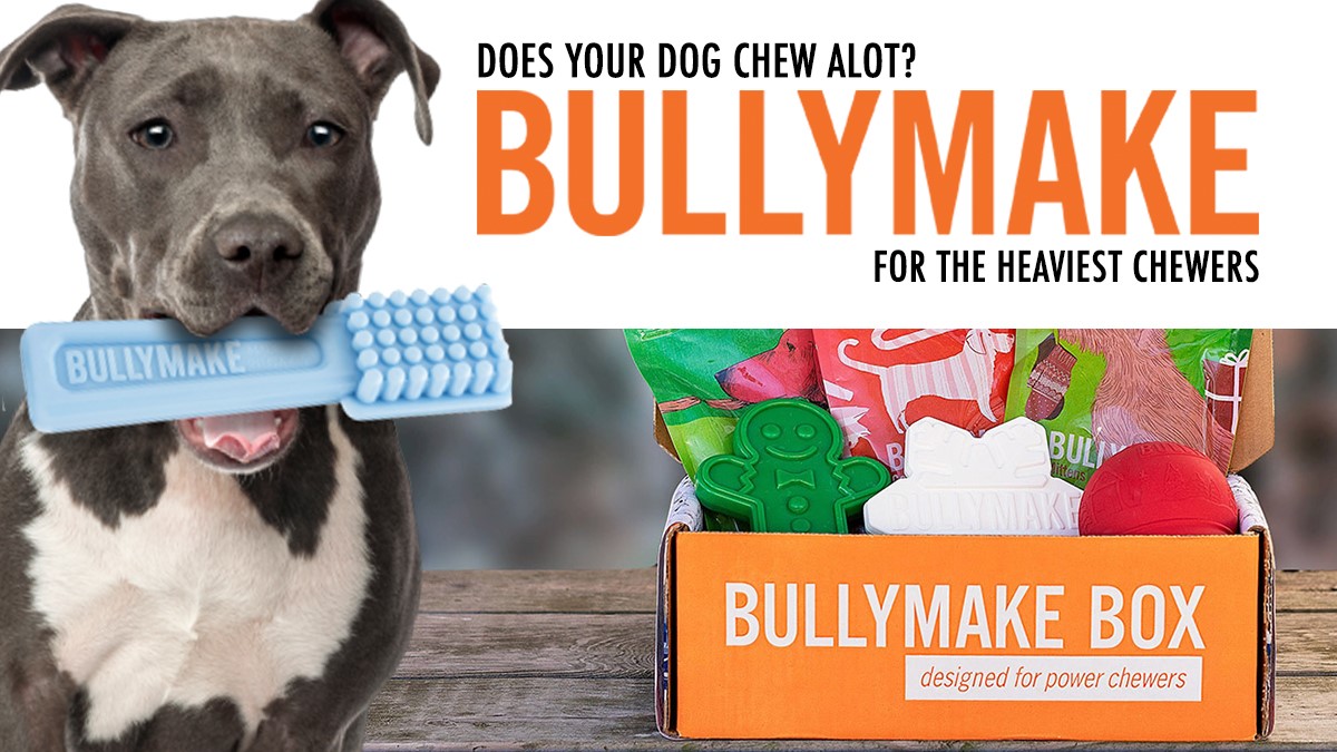 bully box toys