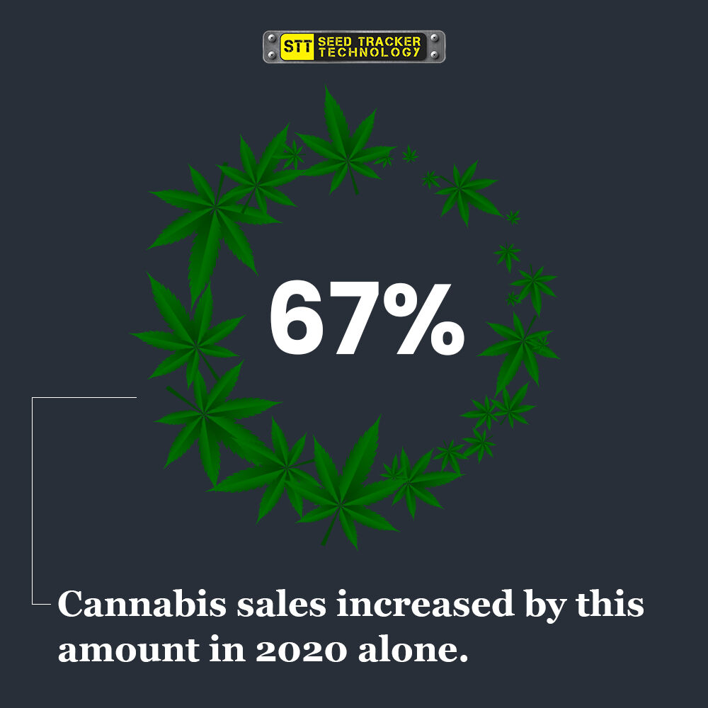 SeedTrackerTech's tweet photo. ❤️ With tons of new people joining the community and learning how to grow their own cannabis, there has never been a better time to help educate! The more ways we can help you cultivate it successfully, the more we feel connected to the amazing community around us. 🍃 https://t.co/r2Fdzmu5wA