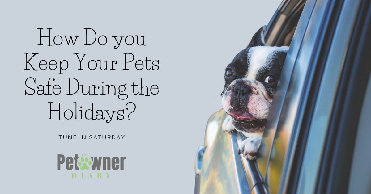 petownerdiary's tweet photo. Need some tips and tricks on how to keep your buddies safe during this holiday season? Tune in Saturday! #petownerdiary #petradio #petsafety #holidays https://t.co/fRV4nOwkTs