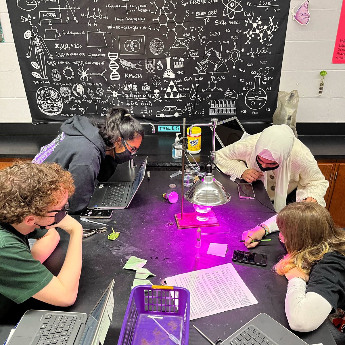 torchianator's tweet image. Arguably the most interesting variable chosen in our AP Bio photosynthesis leaf disc lab, was use of a grow light, b/c those groups had this very cool purple glow going on! #goknights #knightscience #APBio @FazioSally