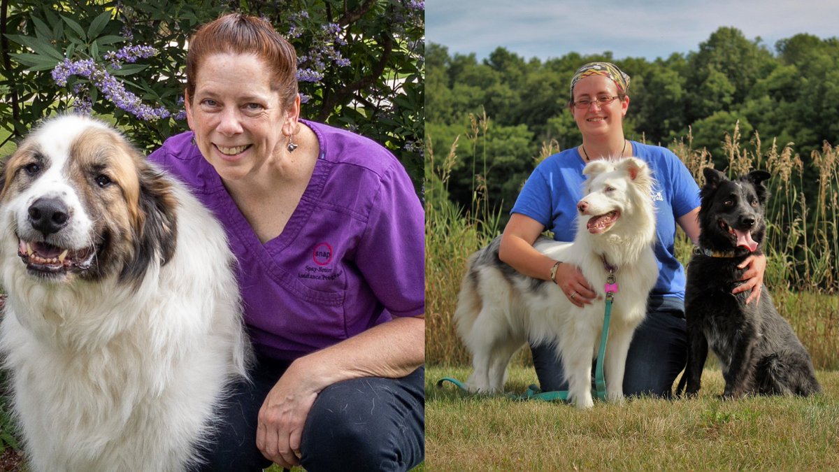 HeroDogAwards's tweet photo. Today is International Day of Veterinary Medicine, a chance to honor all those who dedicate their careers to bettering the lives of animals. We thank you. Pictured are Dr. Mary Kate Lawler and Jill Elston, winners of our 2021 #HeroVetAwards. @Zoetis @SNAPus @AnimalCareSanct https://t.co/uHFlI1RXz5