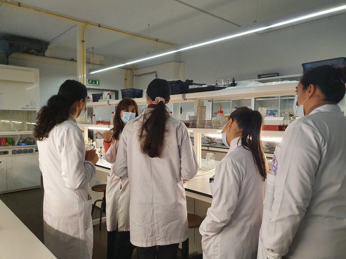 Will our 2021/2022 MICRITAS find bacteria with antimicrobial properties in their antibiosis assays? They are curious and so are we 🙂