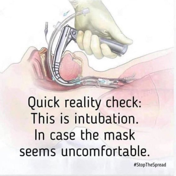 time4kind's tweet photo. @Ordinary1World Dems = Love Thy Neighbor.
GQP = Covid Thy Neighbor.
#VaxMask #JabOrSlab #MakskItOrCasket
“It’s better than a tube down your throat, hon.”
~~~:~~~~~:~~~
"No one's asking you to storm the beaches at Normandy."
~~~:~~~:~~~
"I’d take that over signing a DNR .." https://t.co/XtJtnG94tc