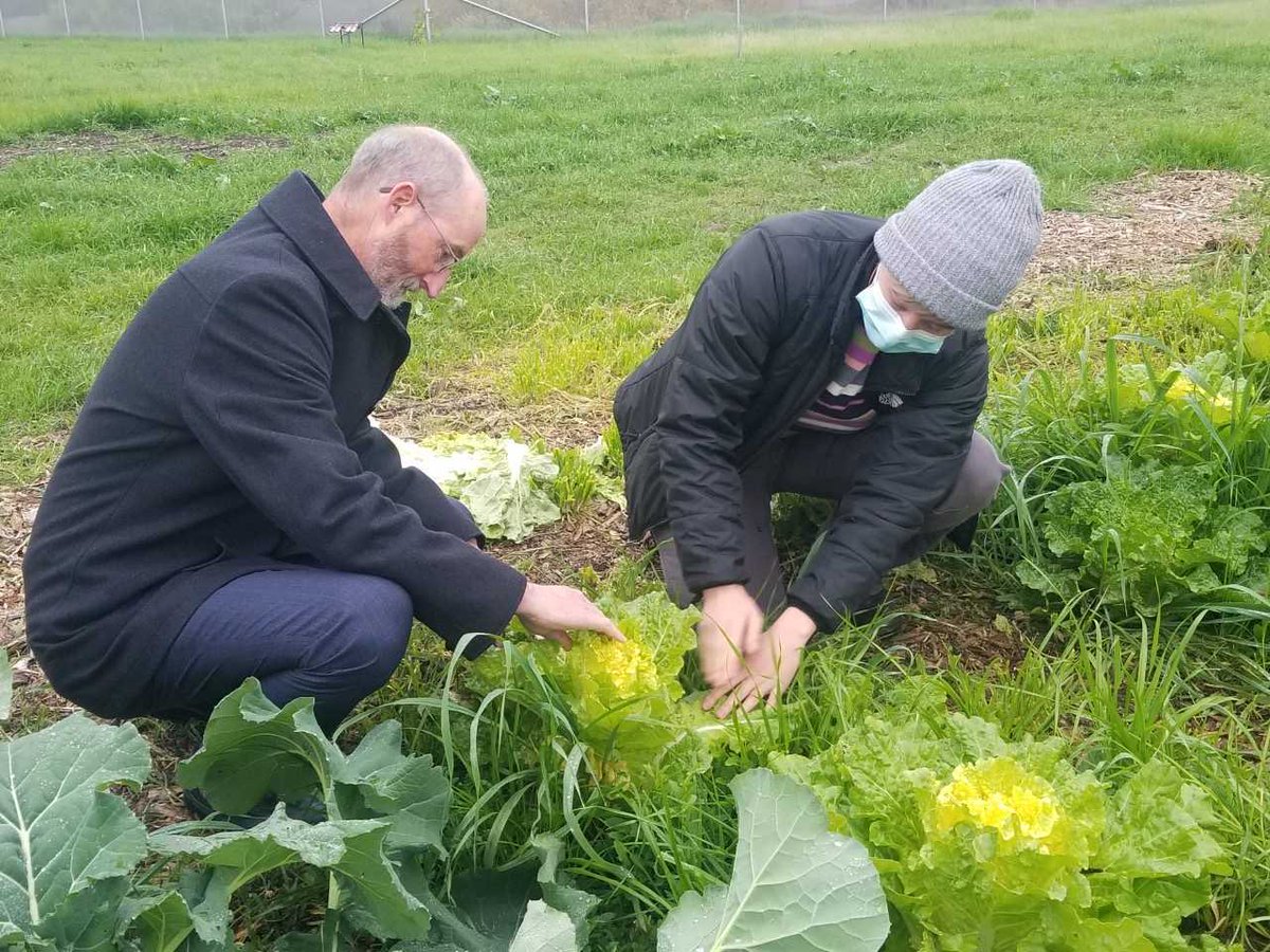Steve Glazer (@steve_glazer) on Twitter photo Excited to learn about the Family Harvest Farm program in <a href="/CityPittsburgCA/">City of Pittsburg, CA</a> through <a href="/JohnMuirLT/">John Muir Land Trust</a>. They provide employment, education, counseling, job skills training for youth transitioning out of foster care — with organic produce given back to the community. Win! Excited to learn about the Family Harvest Farm program in <a href="/CityPittsburgCA/">City of Pittsburg, CA</a> through <a href="/JohnMuirLT/">John Muir Land Trust</a>. They provide employment, education, counseling, job skills training for youth transitioning out of foster care — with organic produce given back to the community. Win!