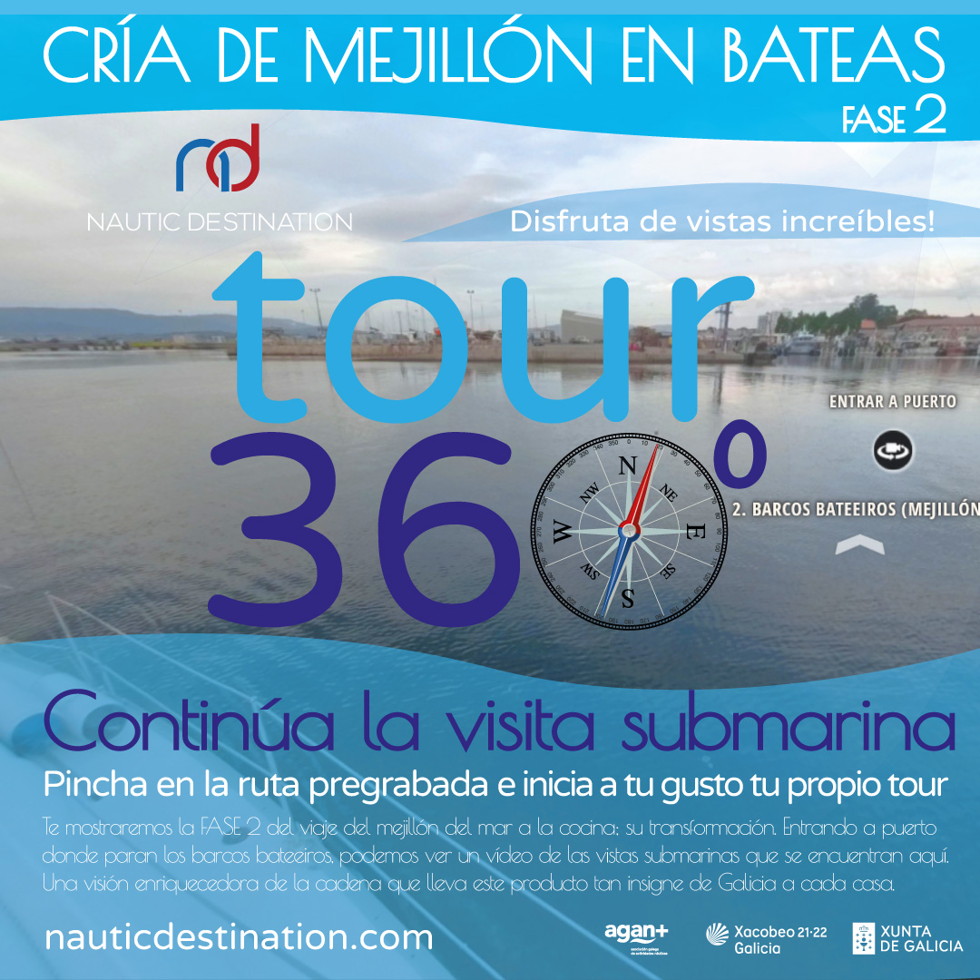 𝗧𝗿𝗮𝘀 𝗲𝗹 𝗰𝘂𝗹𝘁𝗶𝘃𝗼 𝗱𝗲𝗹 𝗺𝗲𝗷𝗶𝗹𝗹𝗼́𝗻 𝗲𝗻 𝗹𝗮𝘀 𝗯𝗮𝘁𝗲𝗮𝘀, 𝗹𝗮 𝘀𝗶𝗴𝘂𝗶𝗲𝗻𝘁𝗲 𝗳𝗮𝘀𝗲 𝗲𝘀 𝘀𝘂 𝘁𝗿𝗮𝗻𝘀𝗳𝗼𝗿𝗺𝗮𝗰𝗶𝗼́𝗻.👇
FASE 2 del viaje del mejillón del mar a la cocina; su TRANSFORMACIÓN🌊🚤
#RíasdeGalicia #bateas #mejillón