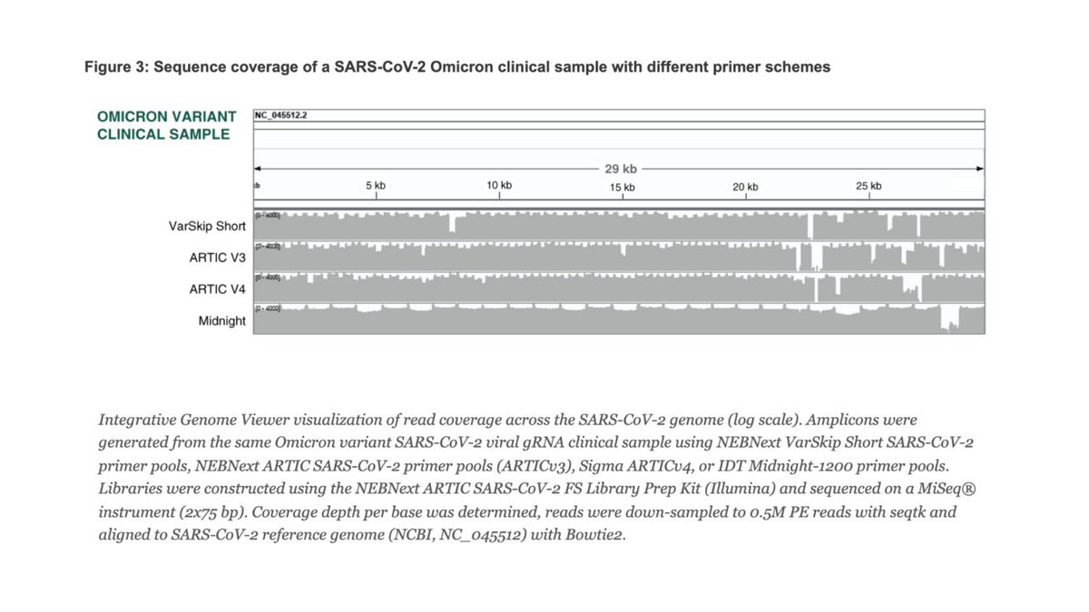 NEBiolabs's tweet image. Sequencing data has determined that the omicron SARS-CoV-2 variant can be called confidently using NEBNext VarSkip Short primers in the ARTIC workflow. Find the details and performance data here nebiolabs.com/3yifPrB