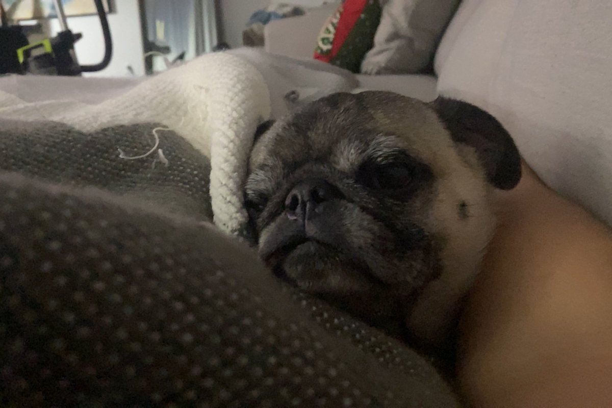 veronicamerrell tweet picture