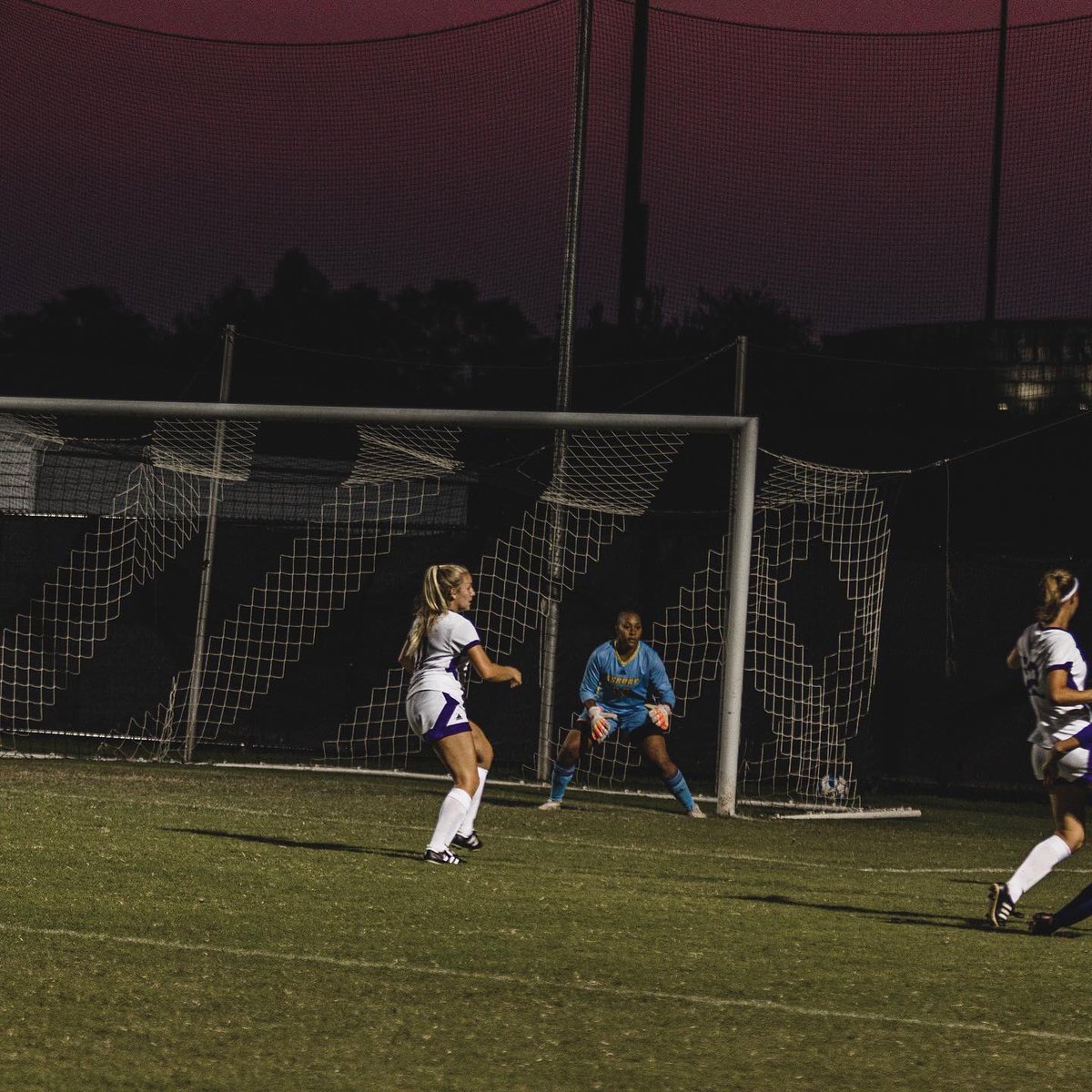 Asbury Athletics tweet media