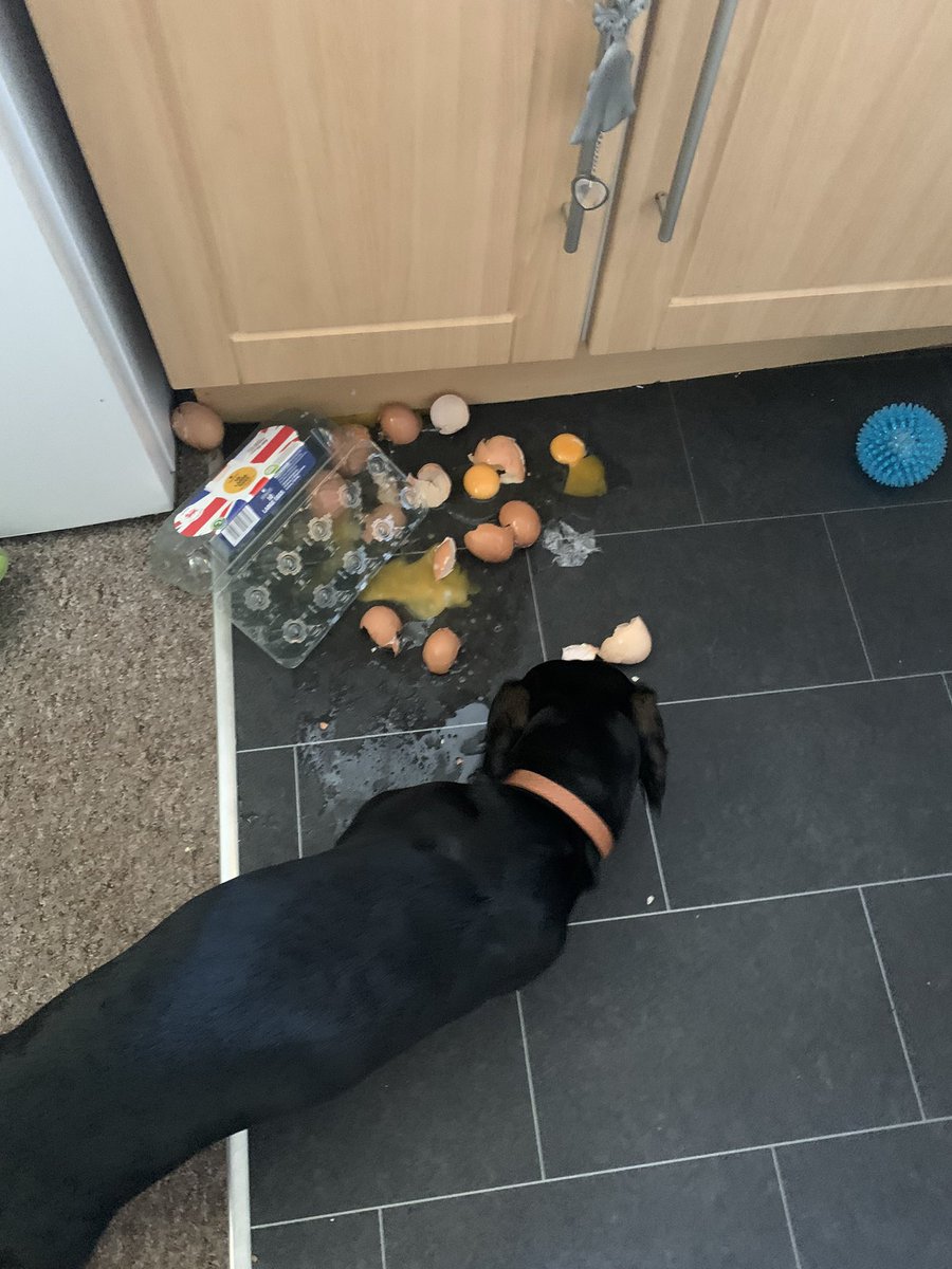 Eva amour💗 tweet media