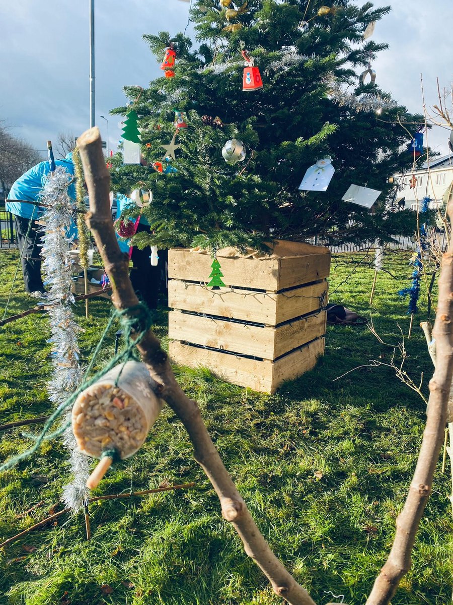 HeyVolunteering's tweet photo. Check out these fabulous handmade Xmas tree decorations and winter bird feeders! 🎄🐦

All lovingly crafted by Gipsyville residents and #HEYVolunteers, in creative workshops by @andytpea1, at @GipsyvilleLibr1 
🥰💙
Thanks to @AbsCultured for donating the tree. 🎄 https://t.co/aS7uY1YwMo