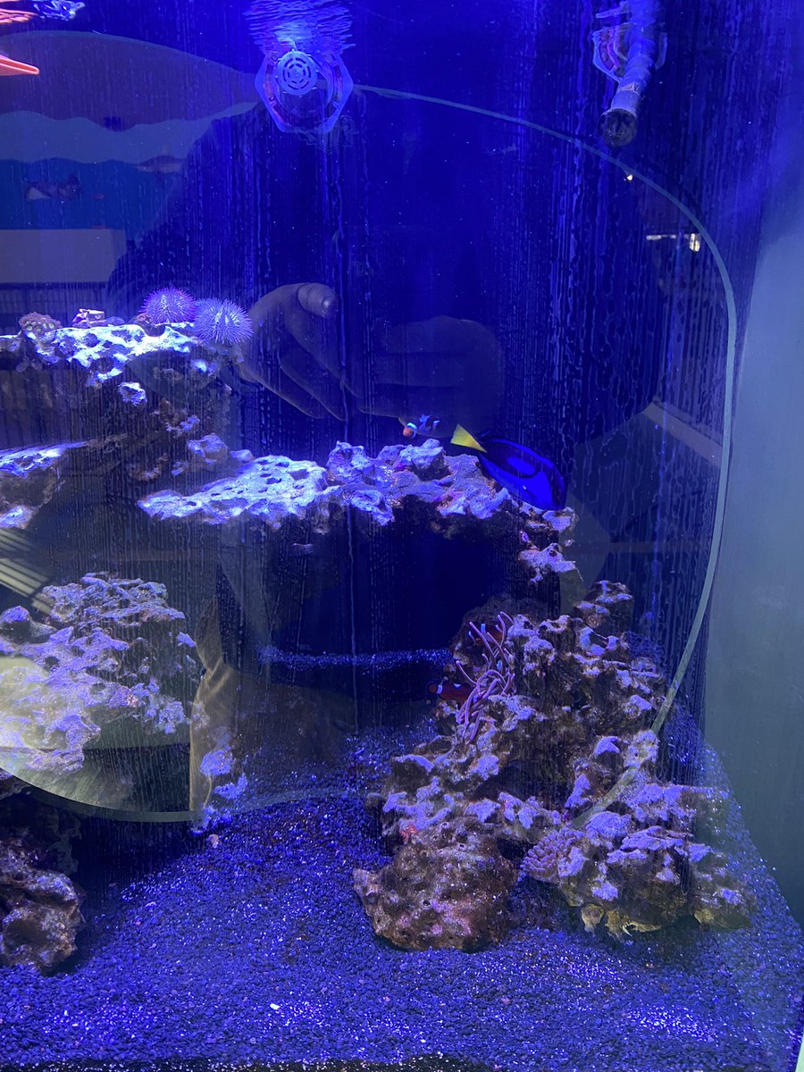 B.East ALP tweet media