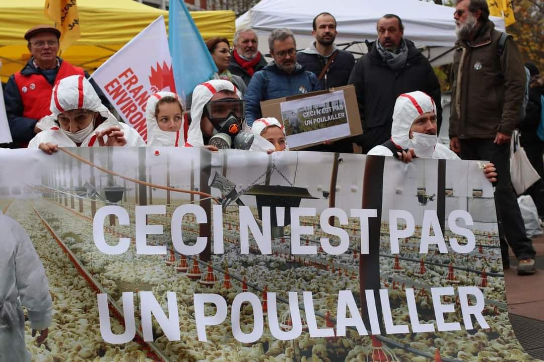 AnimauxInsoumis's tweet photo. Le député européen @mbompard à #Toulouse à la mobilisation contre l'agrandissement de l'élevage de 200 000 poules de #Lescout.
Il faut en finir avec l'élevage intensif, cause de souffrance animale et véritable bombe sanitaire ! https://t.co/A9payThb0Y