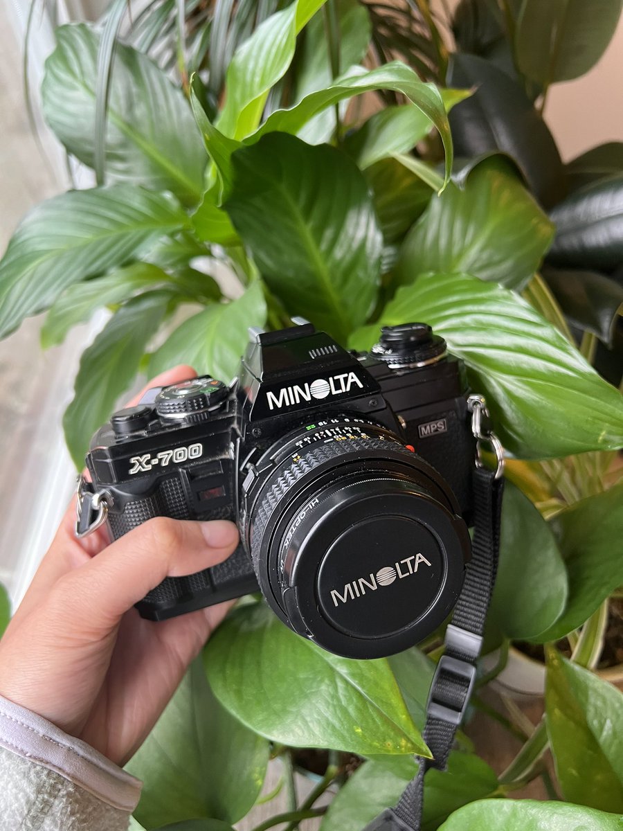 _tiffanieyang's tweet photo. the camera.          🤝            the photos. https://t.co/iMcBIsGoKA