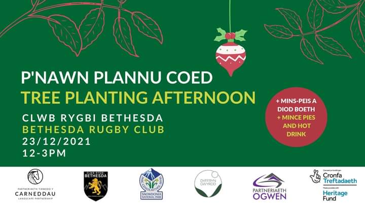 #Rhanwch
Eisiau rhywbeth i wneud gyda'r teulu cyn 'dolig? Dewch draw i Clwb Rygbi Bethesda i blannu coed 

Bydd lluniaeth ar gael - mins-peis a diod boeth!
📅 23 Rhagfyr
🕛12-3pm
📍 Clwb Rygbi Bethesda

Rhagor o wybodaeth: bit.ly/3pEFEhz