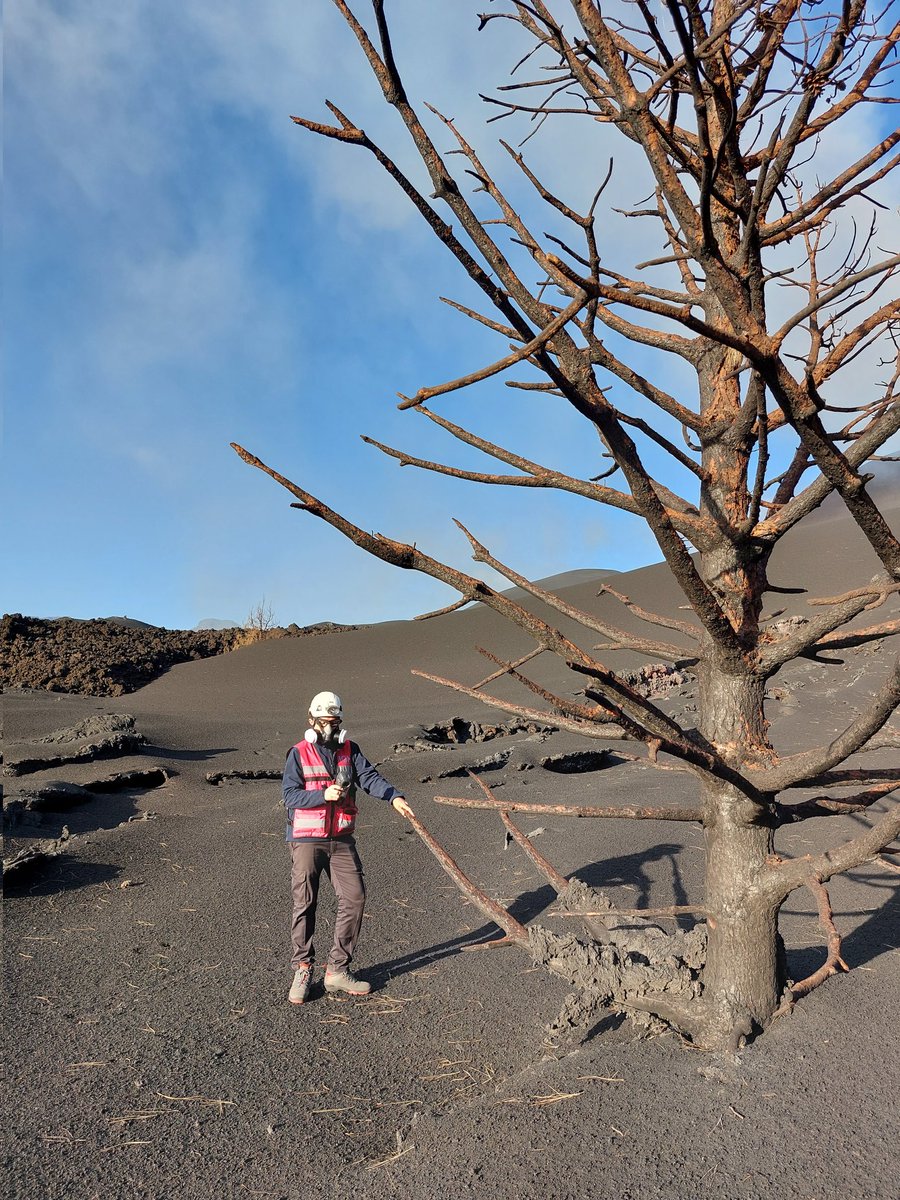 rubenlodi's tweet photo. En Las Manchas hemos encontrado un árbol que ha sobrevivido a las lavas que han recubierto sus ramas. ¿Cómo lo ha conseguido? Espero vuestras respuestas... https://t.co/4r3PNBPgyP